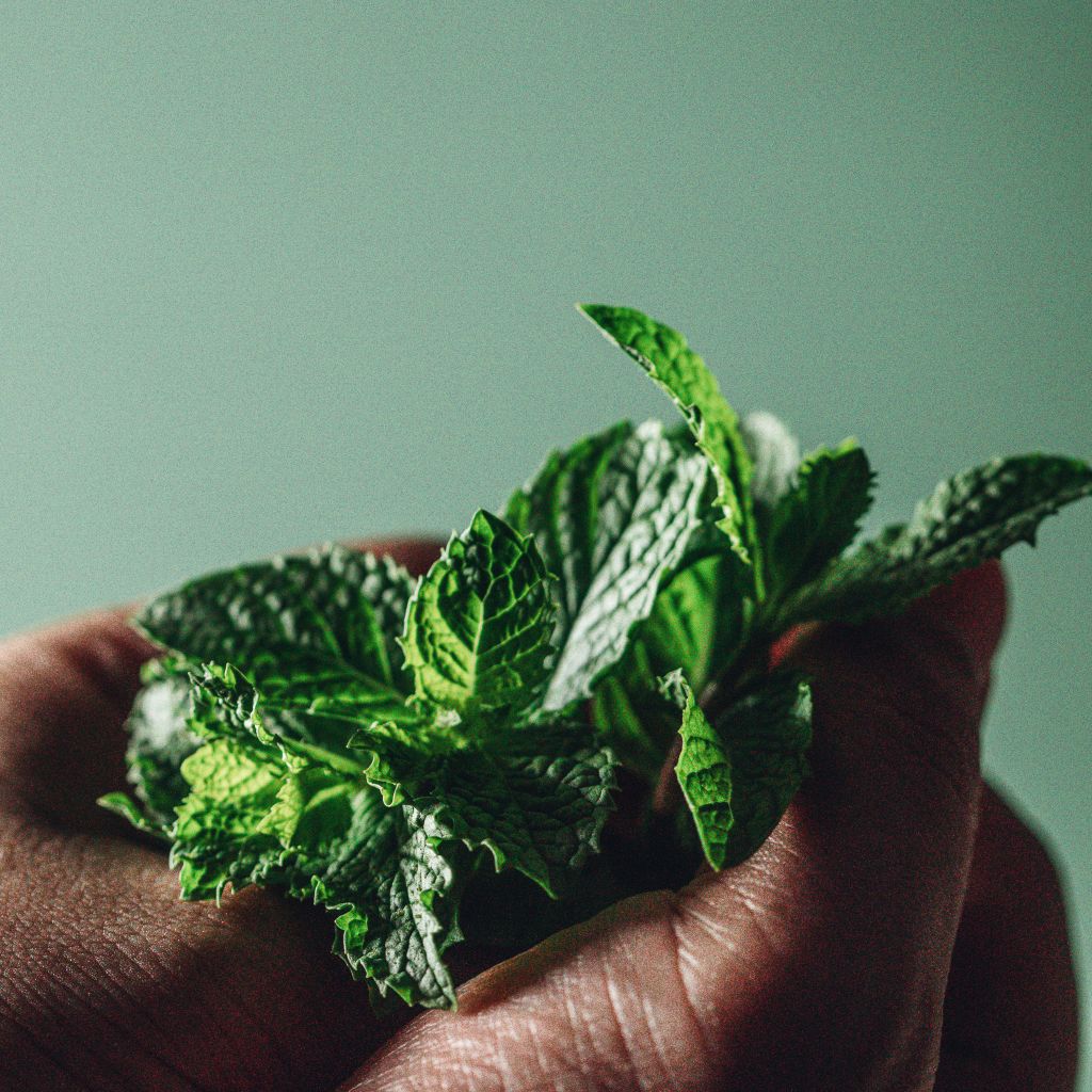 Sustainable Development - Local Herbs